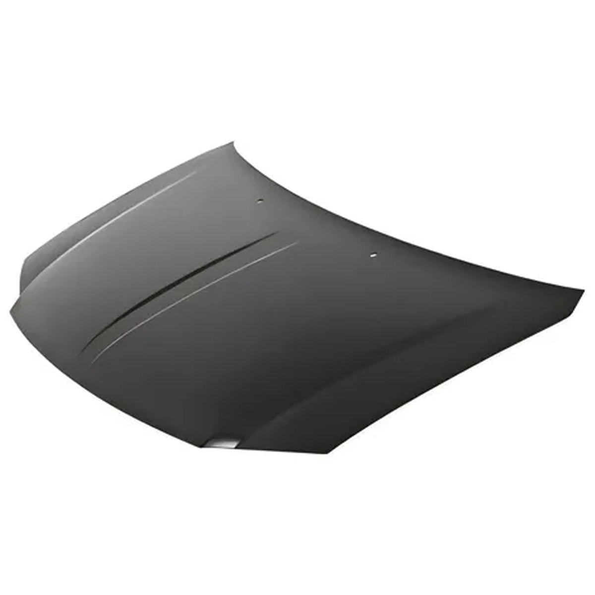 COFRE VOYAGER /CARAVAN 08-10