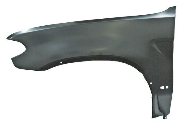 SALPICADERA BMW X5 05-06 L