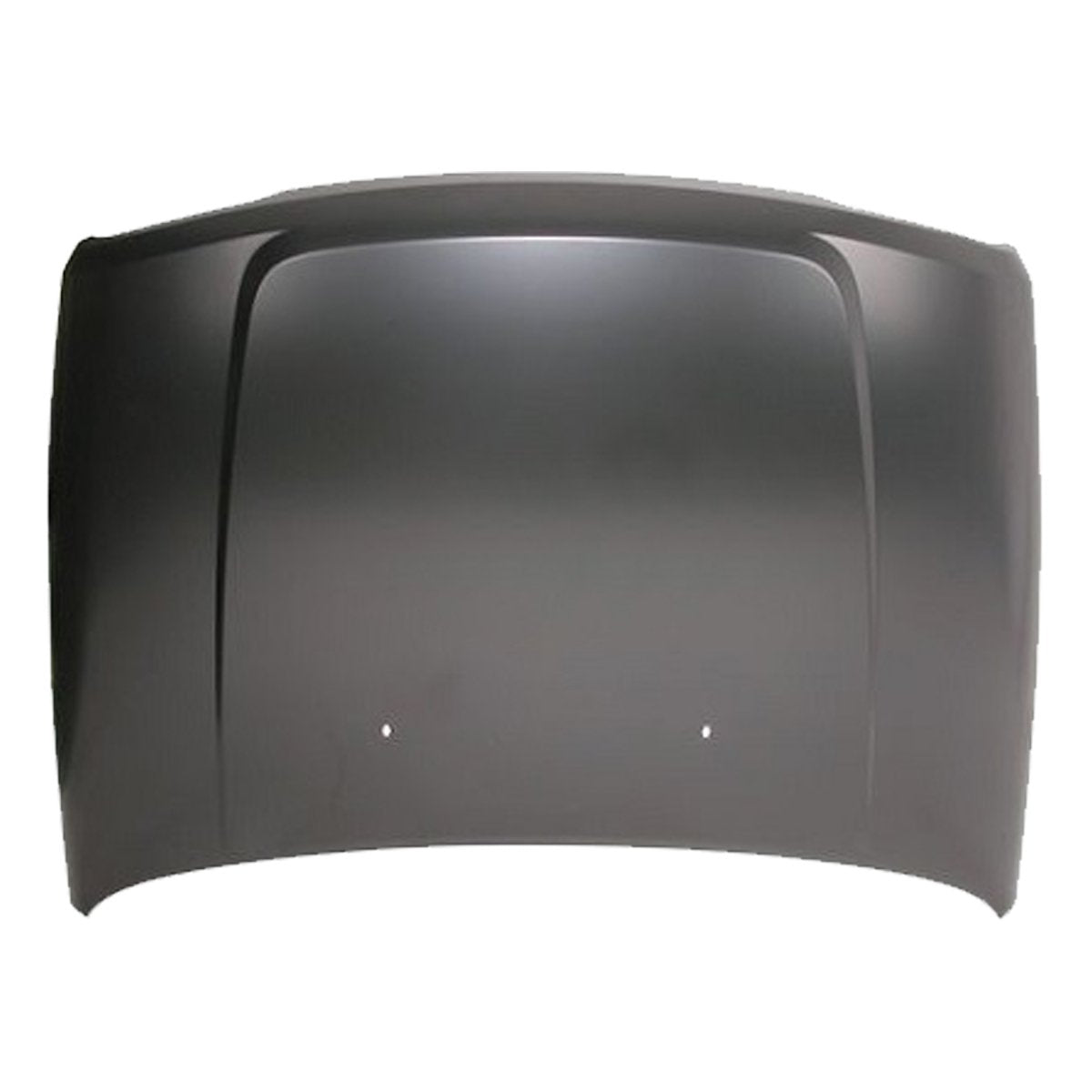 COFRE LIBERTY 08-13 PAT USA