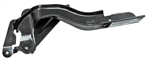 BISAGRA COFRE SENTRA 13-19 R