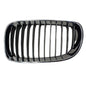 PARRILLA BMW S1 08-12 2P CROMO LINEAS/CROMO R
