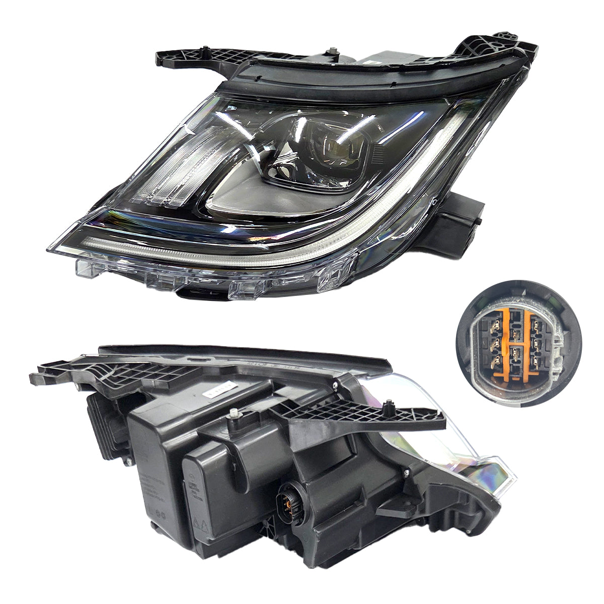 FARO BYD DOLPHIN 24-25 L CN