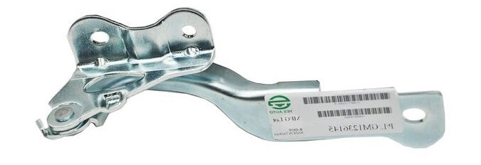 BISAGRA COFRE AVEO 08-11/ PONTIAC G3 09-11 L