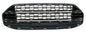 PARRILLA FASCIA ECOSPORT 13-17 CENTRAL