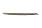 MOLDURA PARRILLA FOCUS 09-11 4P DE COFRE