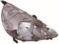 FARO FIT 2006-2008 CROMO TYC RH