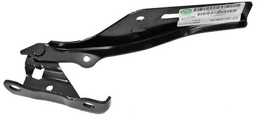 BISAGRA COFRE PILOT 09-15 L