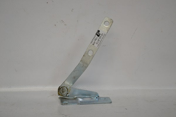 BISAGRA COFRE POINTER 00-09 R