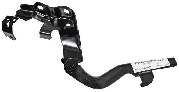 BISAGRA COFRE CAMRY 00-01 R