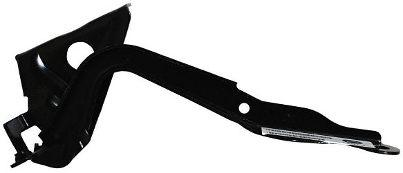 BISAGRA COFRE RAV4 06-12 L