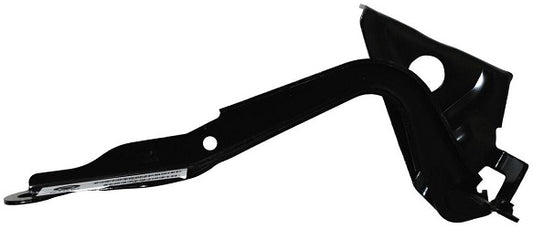 BISAGRA COFRE RAV4 06-12 R