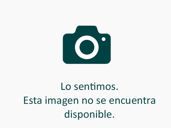 REFUERZO DELANTERO S40/V50 04/C30/C70 2006
